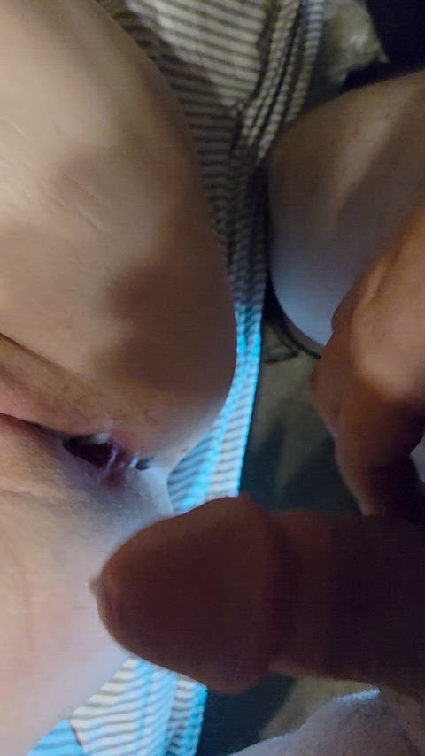 AbsoluteAdventurousViperfish thumbnail