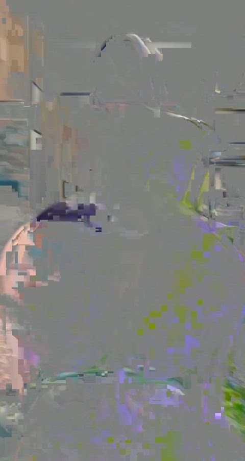 AbsoluteHealthyBrant thumbnail
