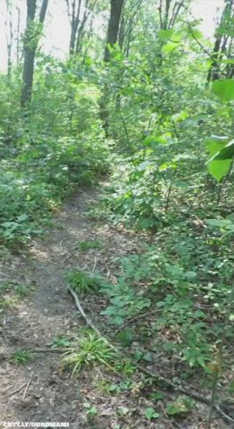 Amateur Ass Cum Cum On Ass Cumshot Outdoor Real Couple Standing Doggy Porn GIF by duromami