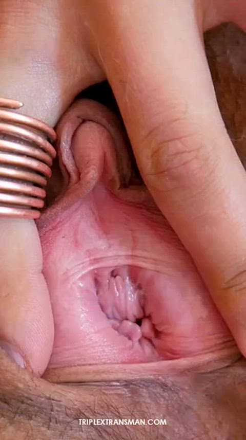 Pussy Pussy Lips Pussy Spread Shaved Pussy Trans Trans Man Transexual Transgender Porn GIF by adultprime