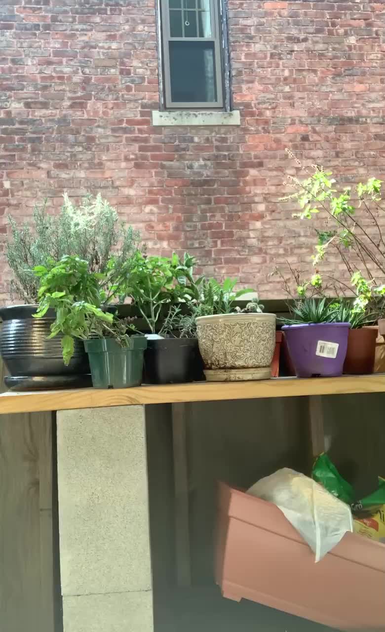 Hoping someone waters me like I water my plants 😆