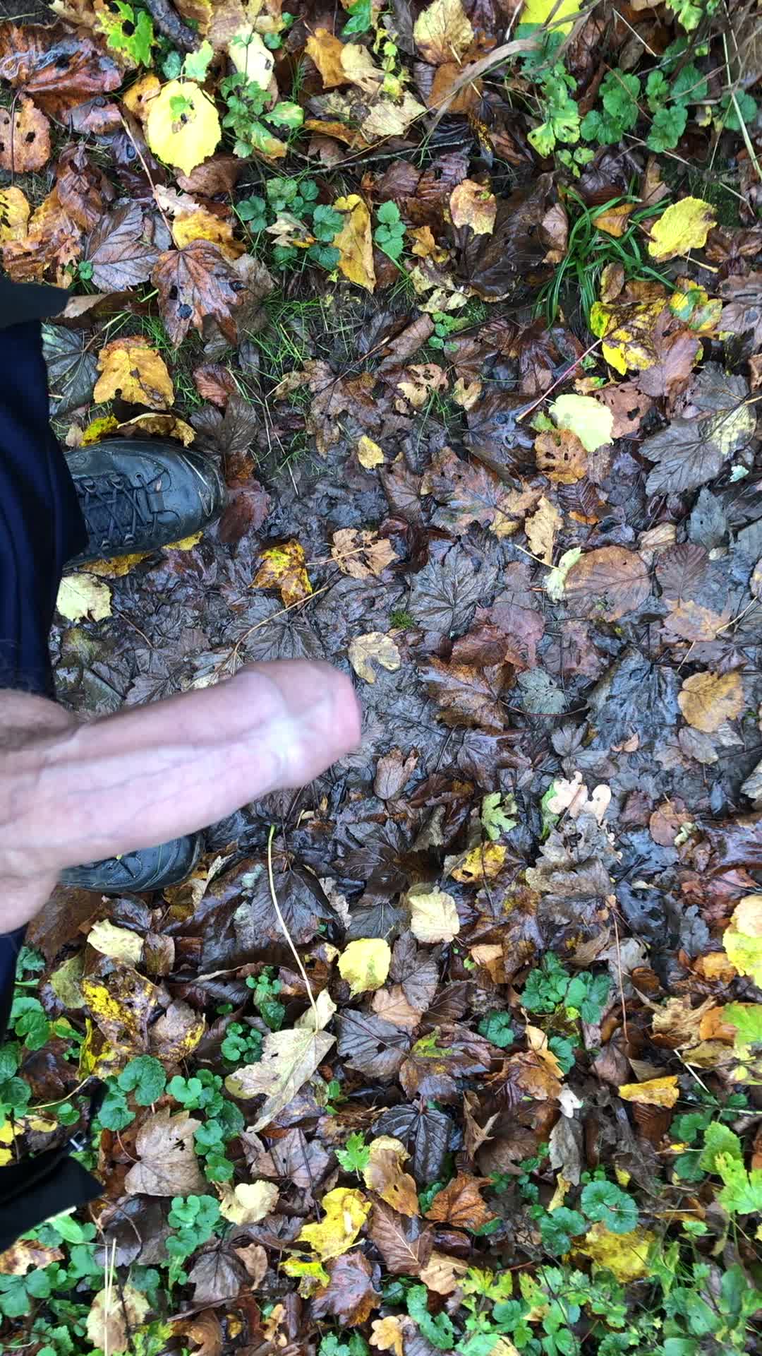 Pissing right on the path