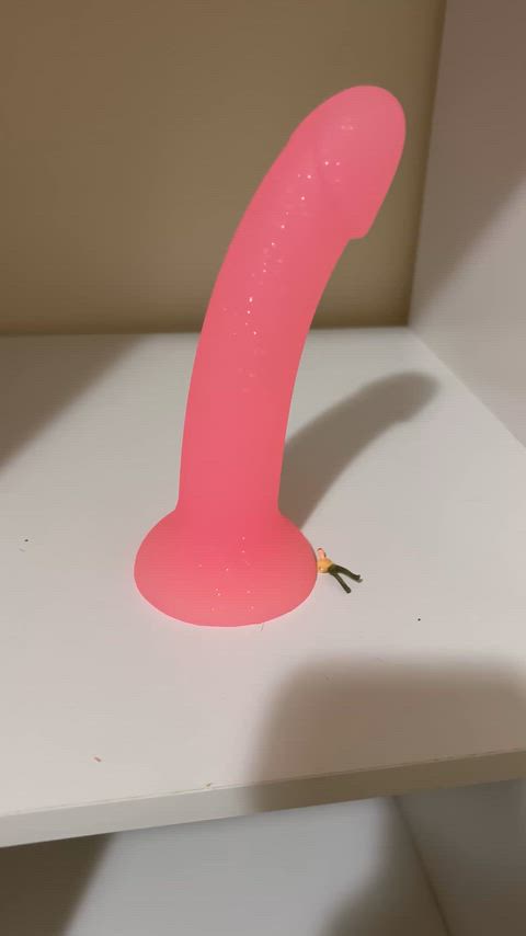 Choosing which toy to use today…