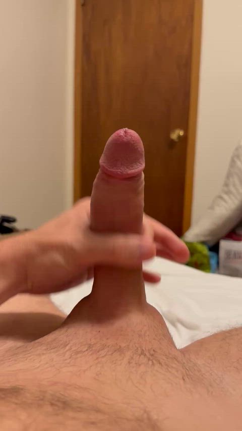 Did you get enough cream on Thanksgiving