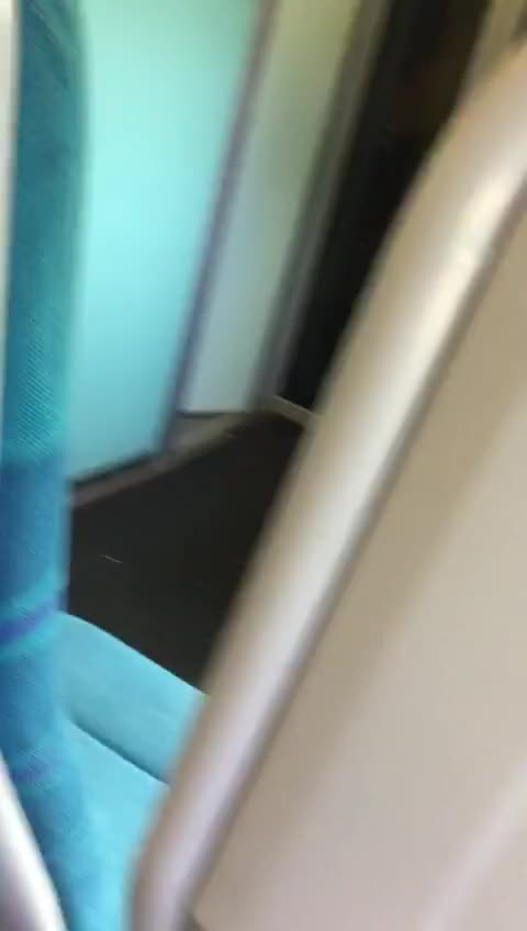 Tits on a Train