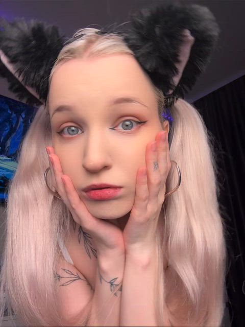 wld you like to train this kitten?