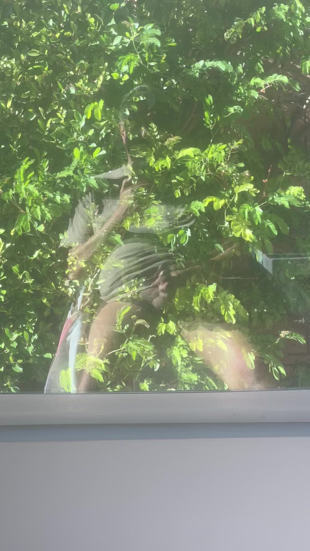 Window reflections