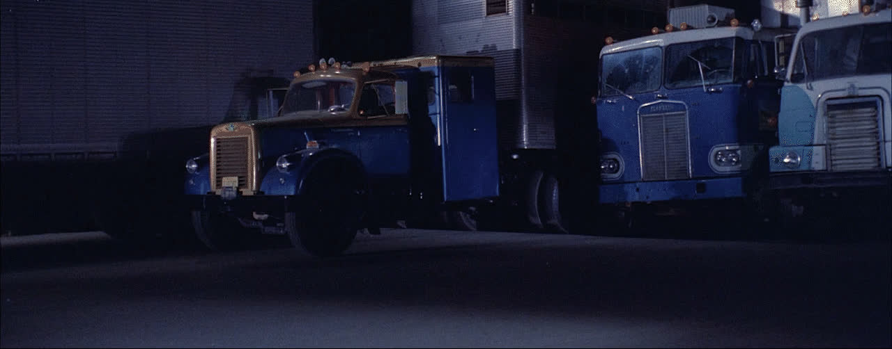 Uschi Digard- Truck Stop Women