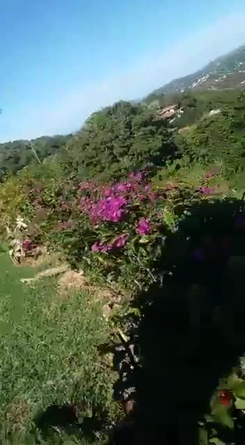 Cliff fucking