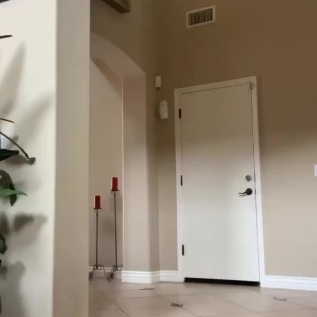 TikTok Star Pt. 2