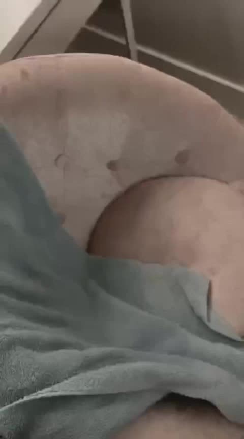 Camila's live, the good parts pt 2