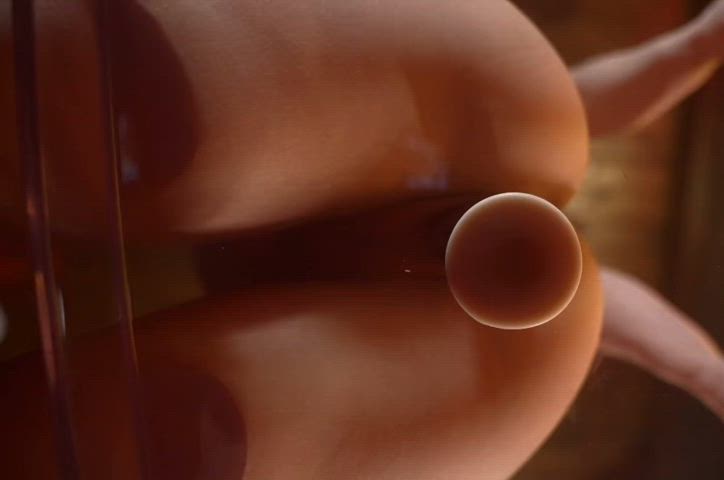 Amateur Ass Ass Spread Big Ass Chair Sex Dildo Glass Masturbating Thick Thick Thighs Porn GIF by populardick