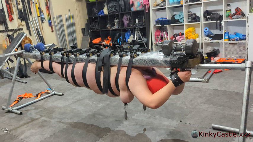 I'm building an epic DIY cat toy. [OC]