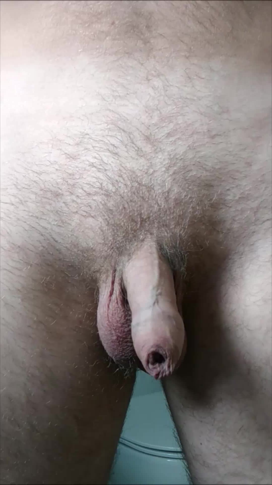 Erection!