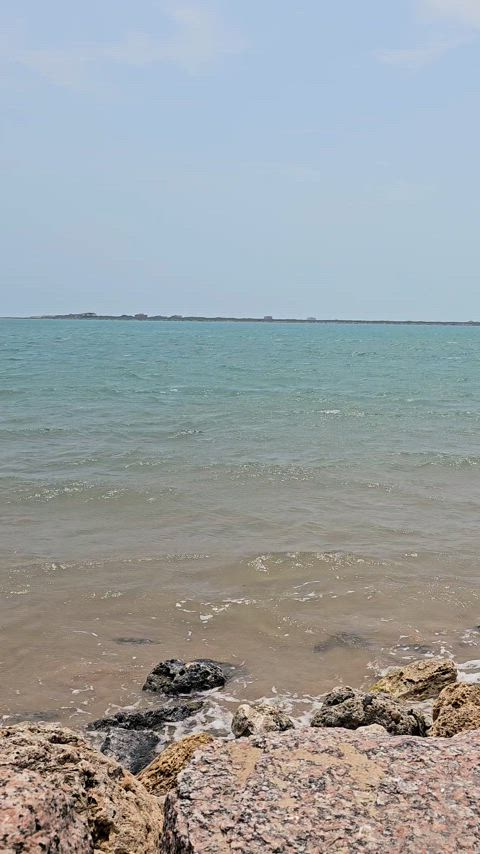 Beach boobies