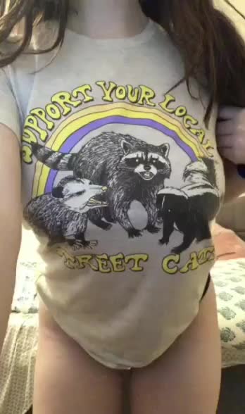 Support your local street cats!