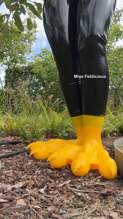 Feet Fetish Fetish Foot Foot Fetish Funny Homemade Latex OnlyFans Rubber fun Porn GIF by missfetilicious