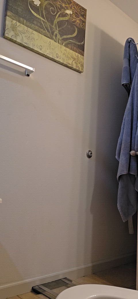 You're my toilet seat and this is what you see
