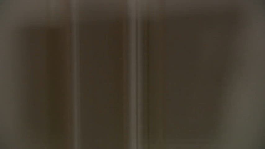ArcticSentimentalWaxwing thumbnail