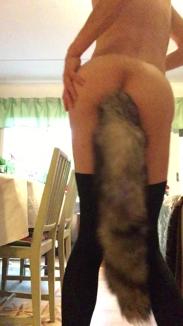 Let me be your sissy pet