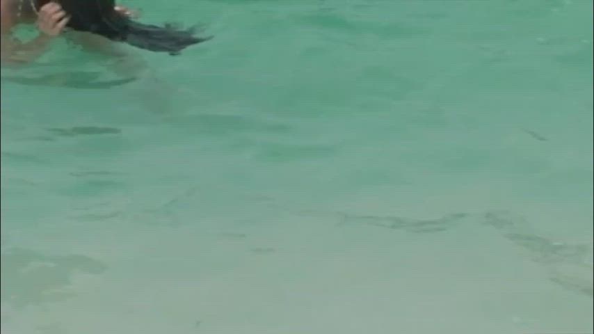 Ass Big Tits Tits Porn GIF by redrider45