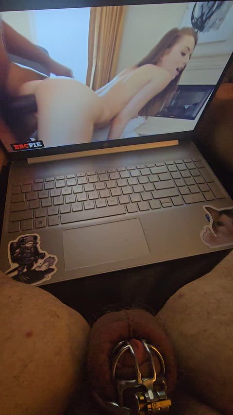 Smaller cage put on today...