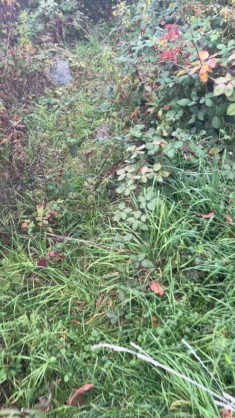 Public Jerk off, completely open