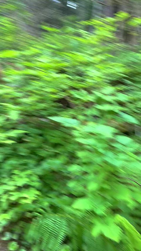 Keeping the hike interesting