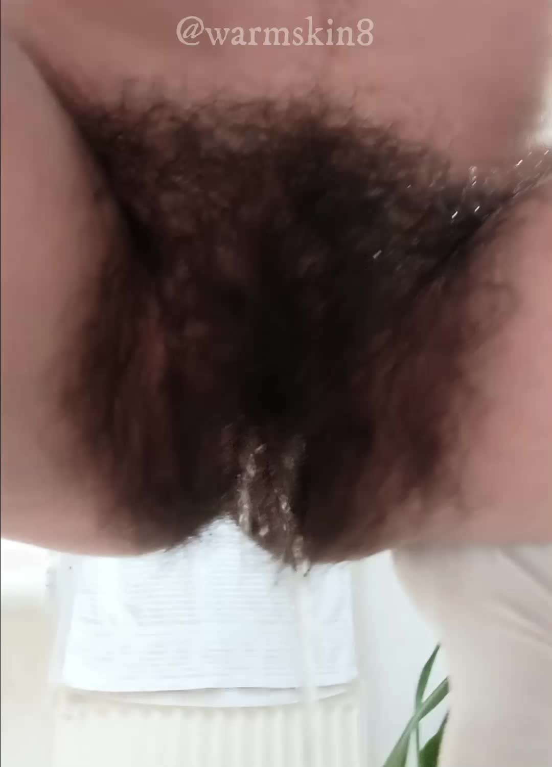 My irst post here! Piss from a big bush 💦
