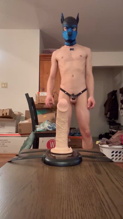 Hiding my bone so no one takes it.