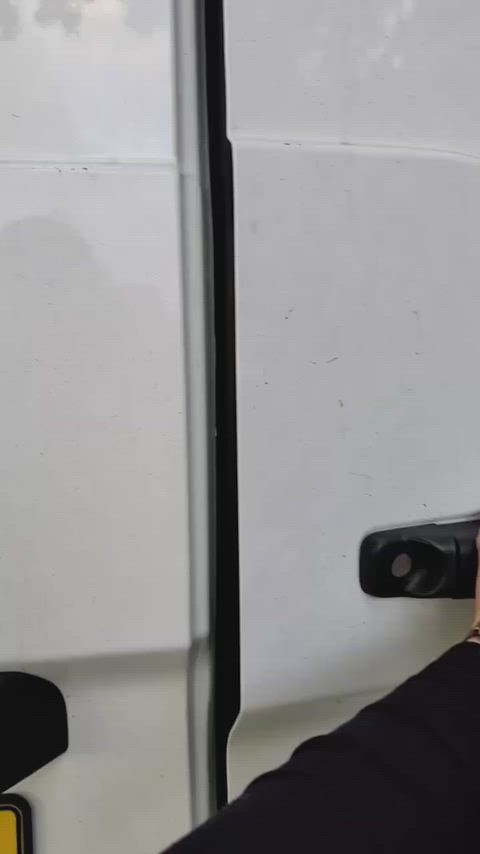 BaggyOblongCrocodileskink thumbnail