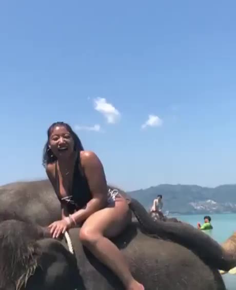 When elephant knows what it wants