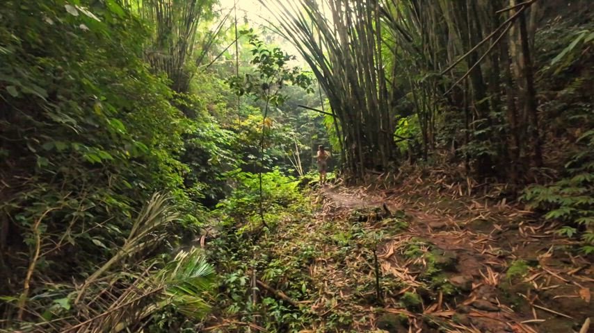 Fuck this ass in the woods?