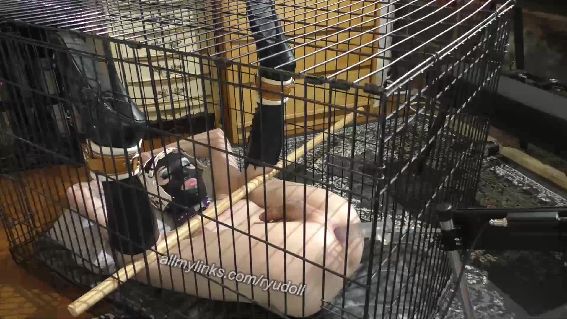 Caged with fuck machine
