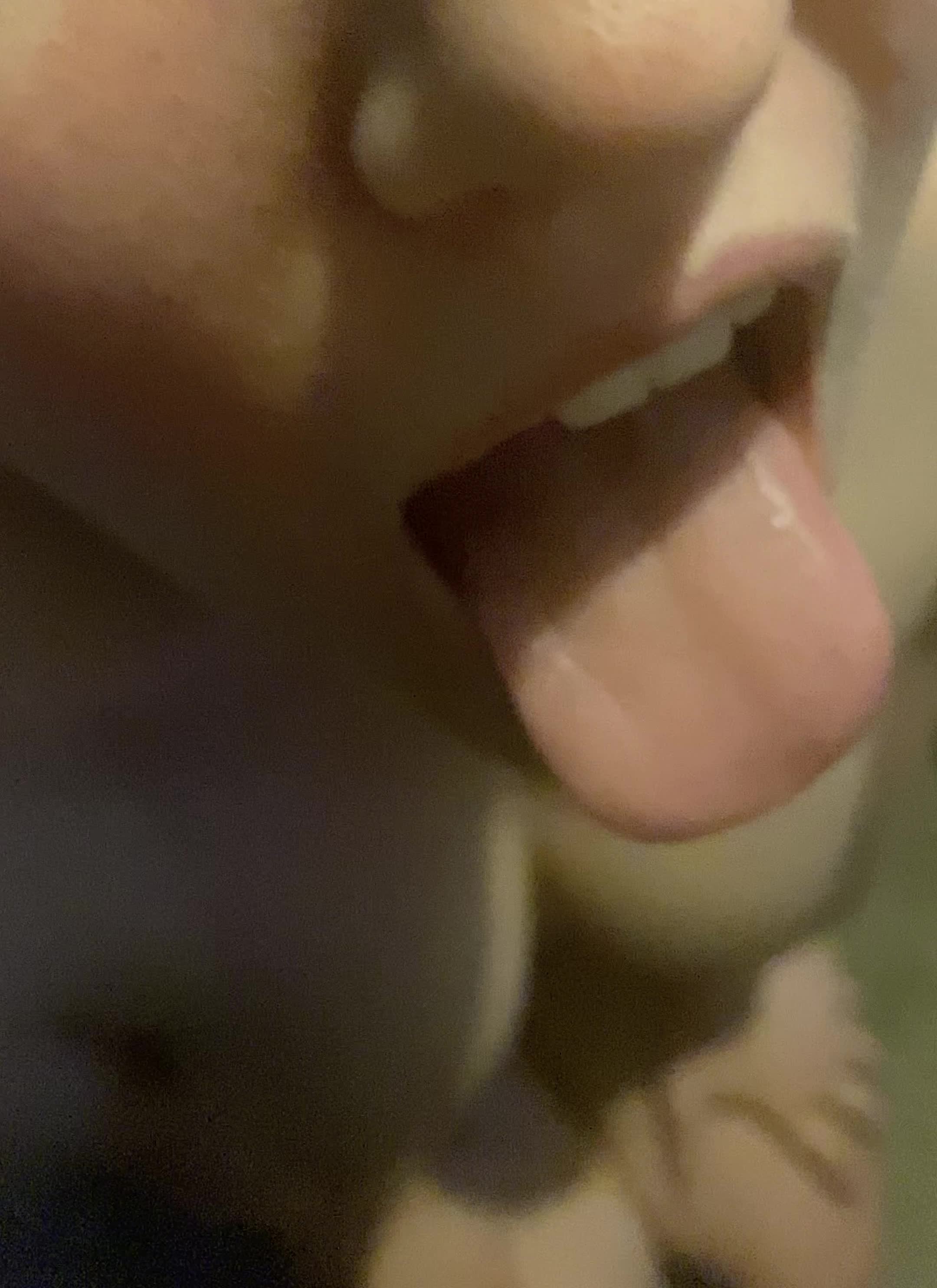 Love taking a load of cum on my tongue 👅