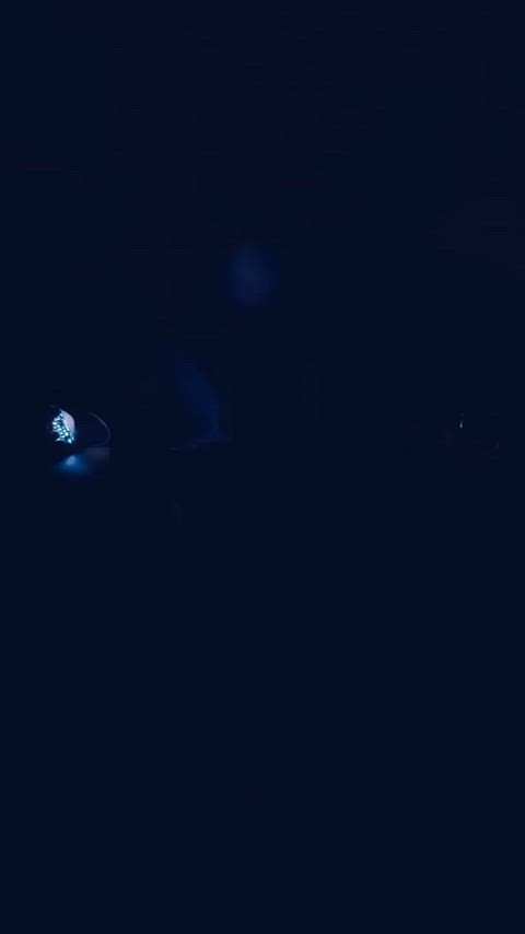 Velma went looking for clues and found something else.