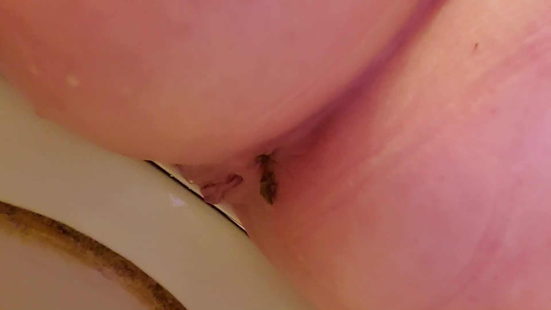 Another day, another poop 💚