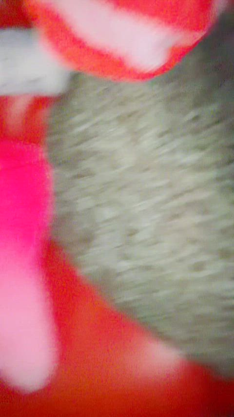 happy Tuesday xoxoxo