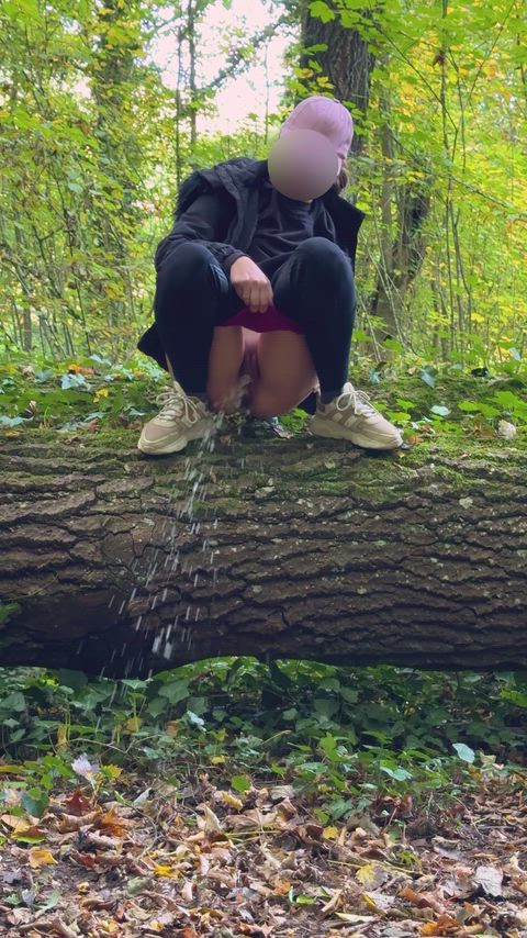 It was a first from a tree trunk