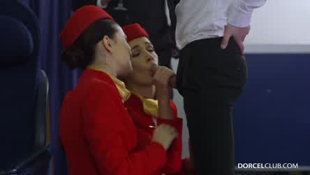 Airplane Alexis Crystal Clothed Double Blowjob Foursome Misha Cross Pornstar Stewardess Porn GIF by mephisto31