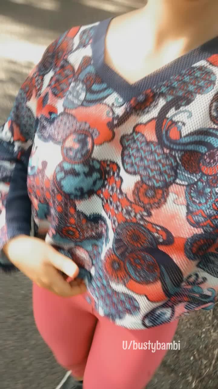 Taking the twins for a walk