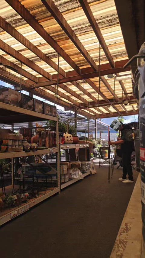 Gardening section shopping