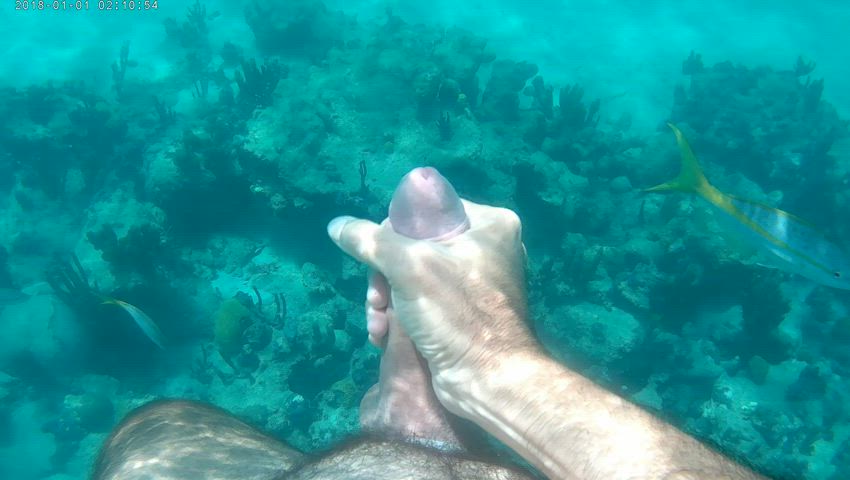 I wonder if anybody on the beach saw me jerking off?