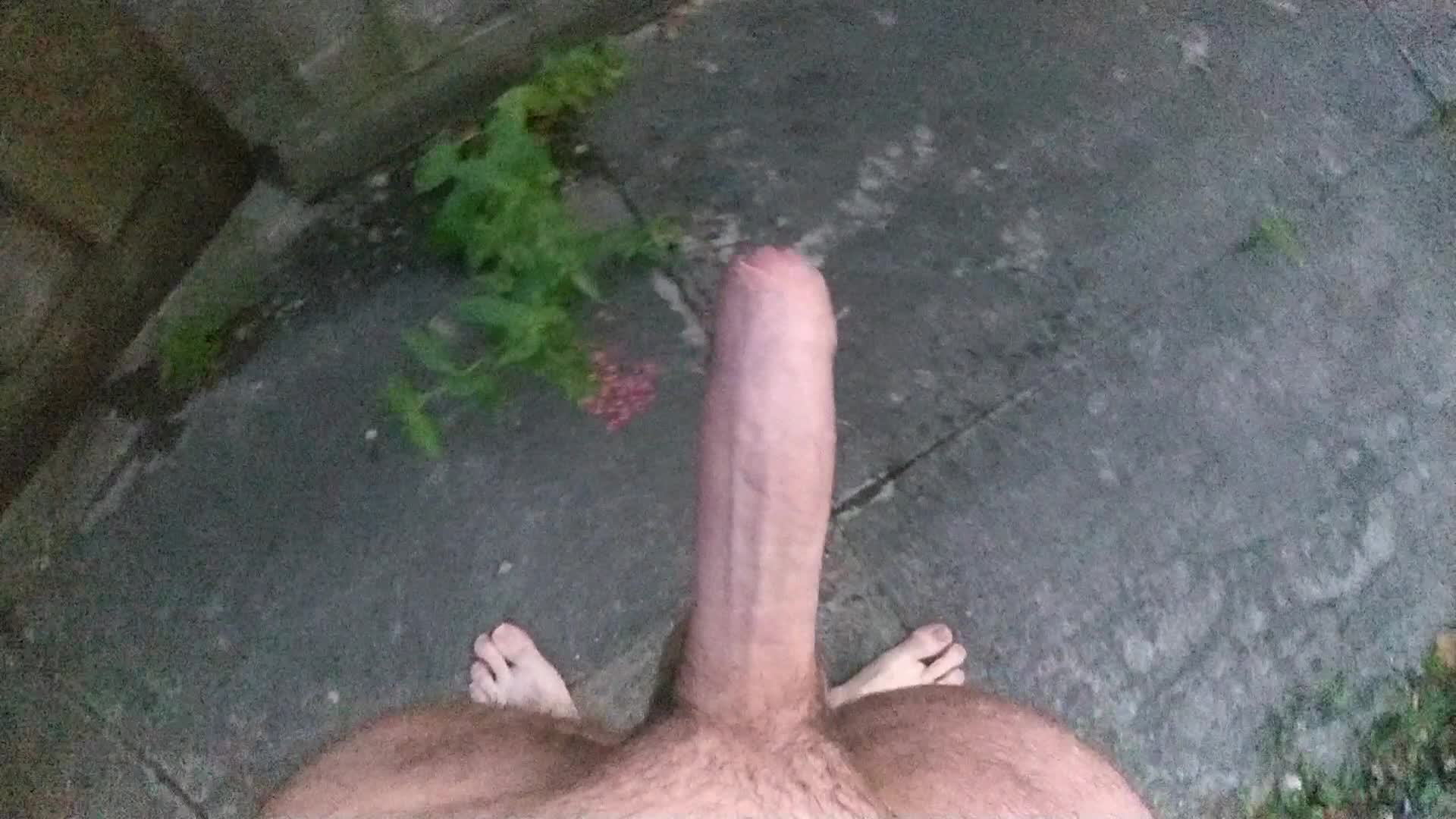 Follow the huge cock 😉