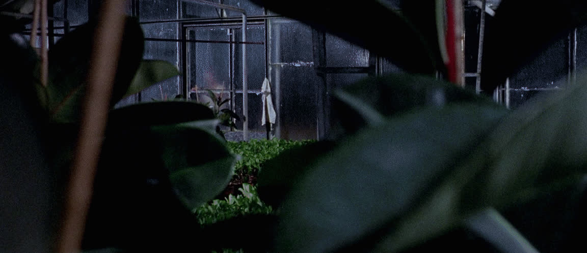Rosalba Neri - Slaughter Hotel