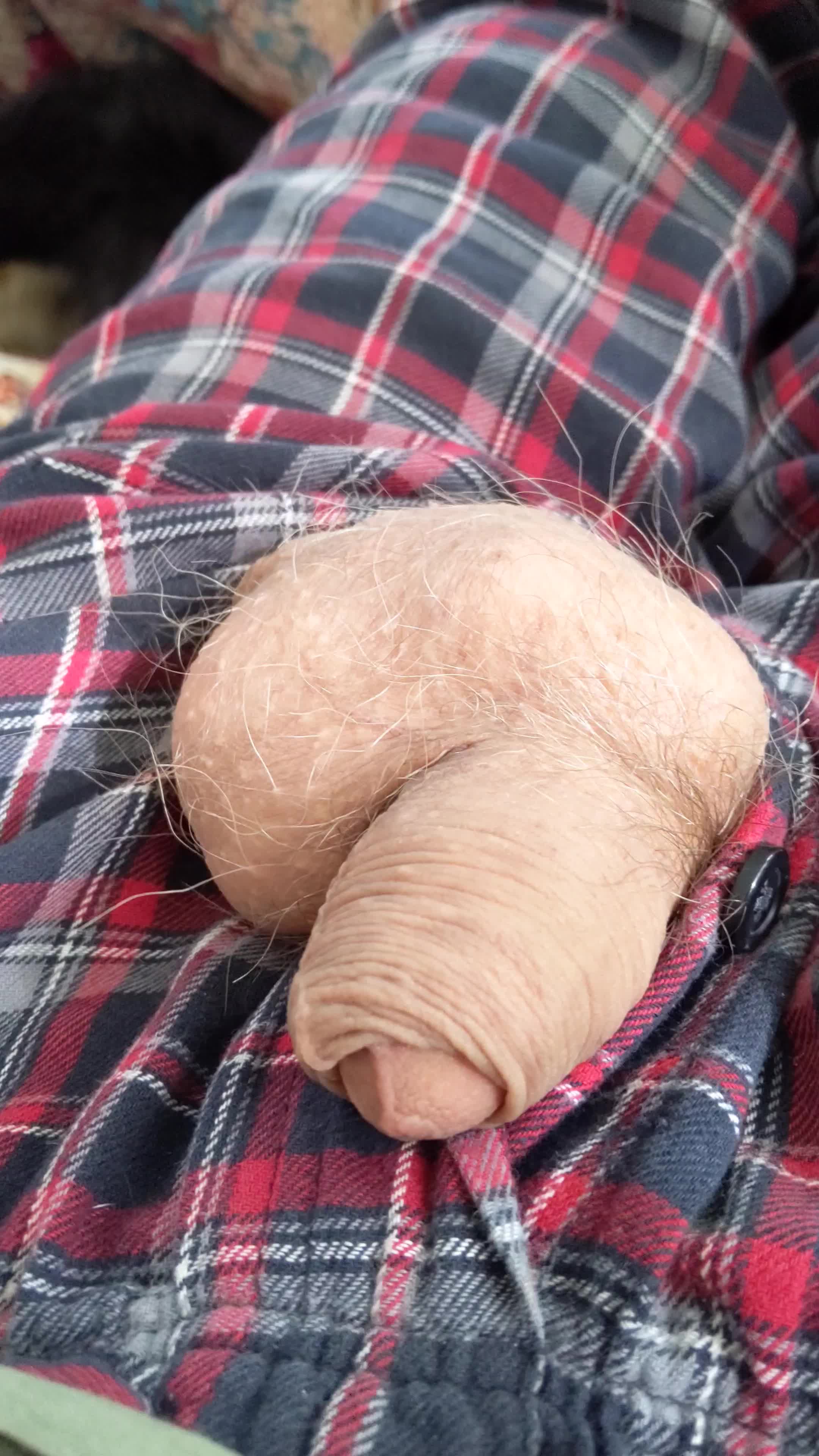 Made a time lapse of my balls moving for a minute.