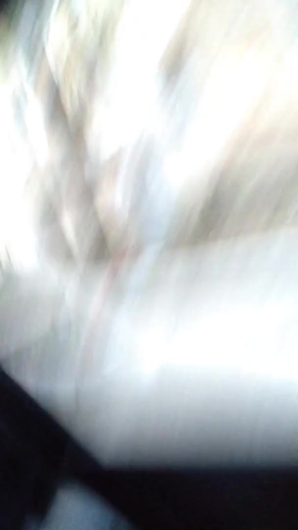 Real couple got caught fucking on the roadside