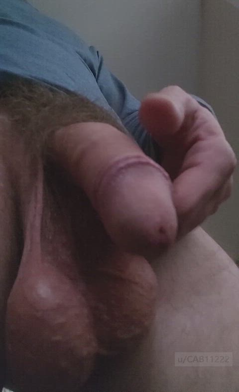 Balls Big Balls Precum Porn GIF by cab1122
