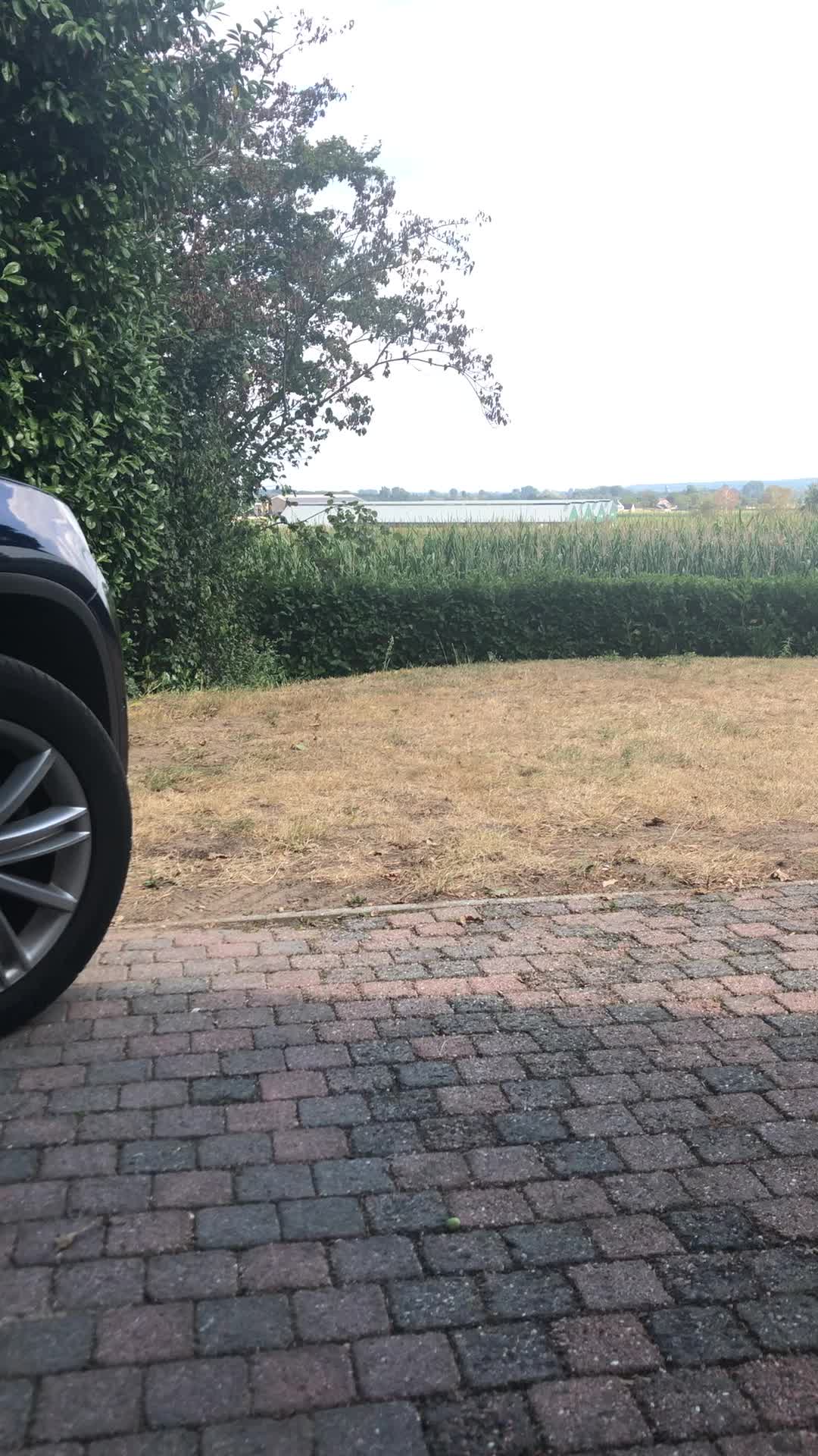 Jerking with a nice view