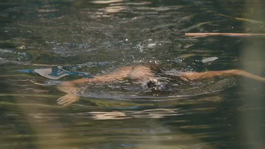 Bikini Celebrity Rachel Bilson Porn GIF by celebsprincess